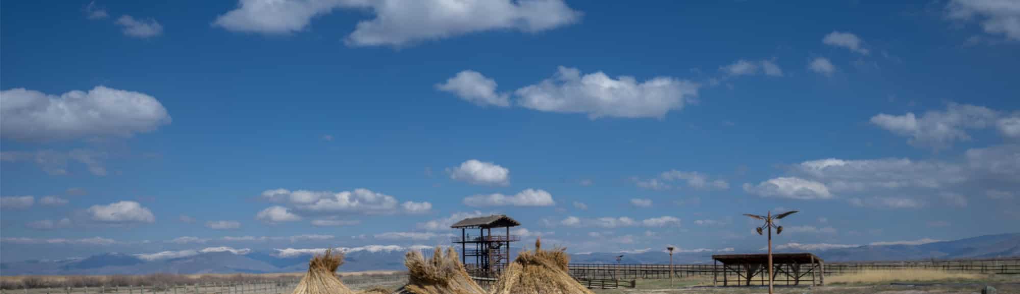 Blog images - 2026 - VOL.001 - Sultan Marshes National Park Cover image