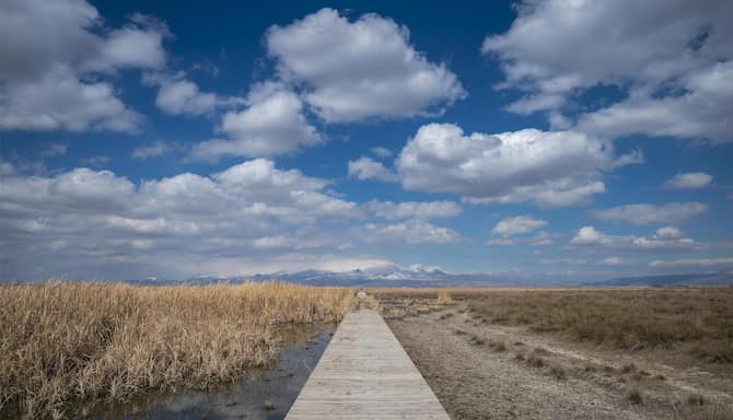 Blog images - 2026 - VOL.001 - Sultan Marshes National Park