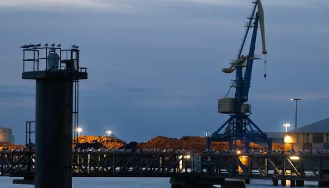 Blog images - 2026 - VOL.001 - Charm of Alter Hafen Wismar
