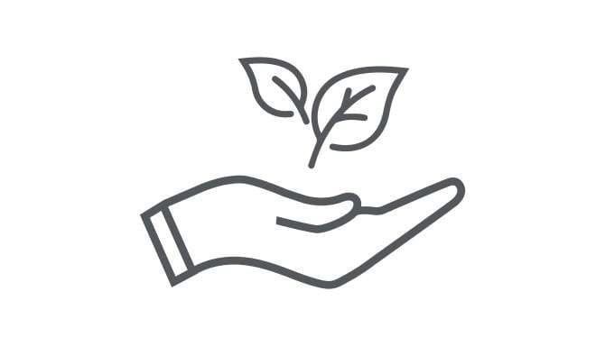 Careers - Learning Opportunities