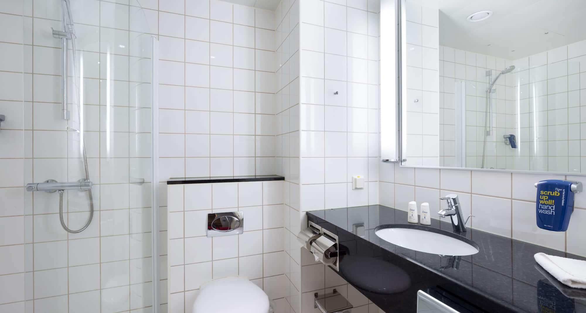 圣彼得堡涅瓦大街丽柏酒店 - 客房浴室