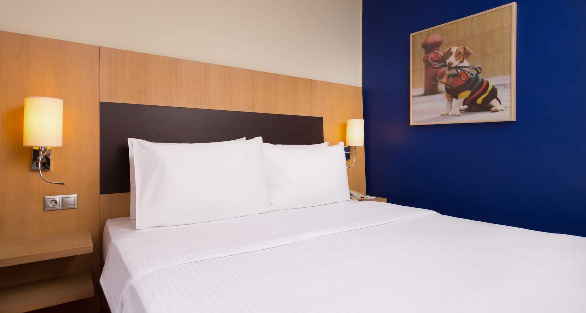 圣彼得堡涅瓦大街丽柏酒店 - 标准客房或高级客房