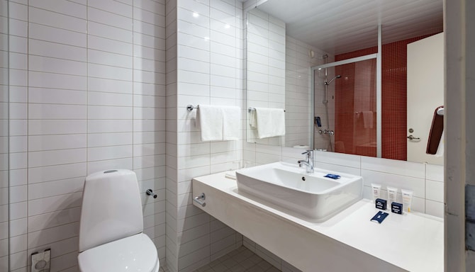 Park Inn by Radisson Pribaltiyskaya Hotel & Congress Center - номер Standard