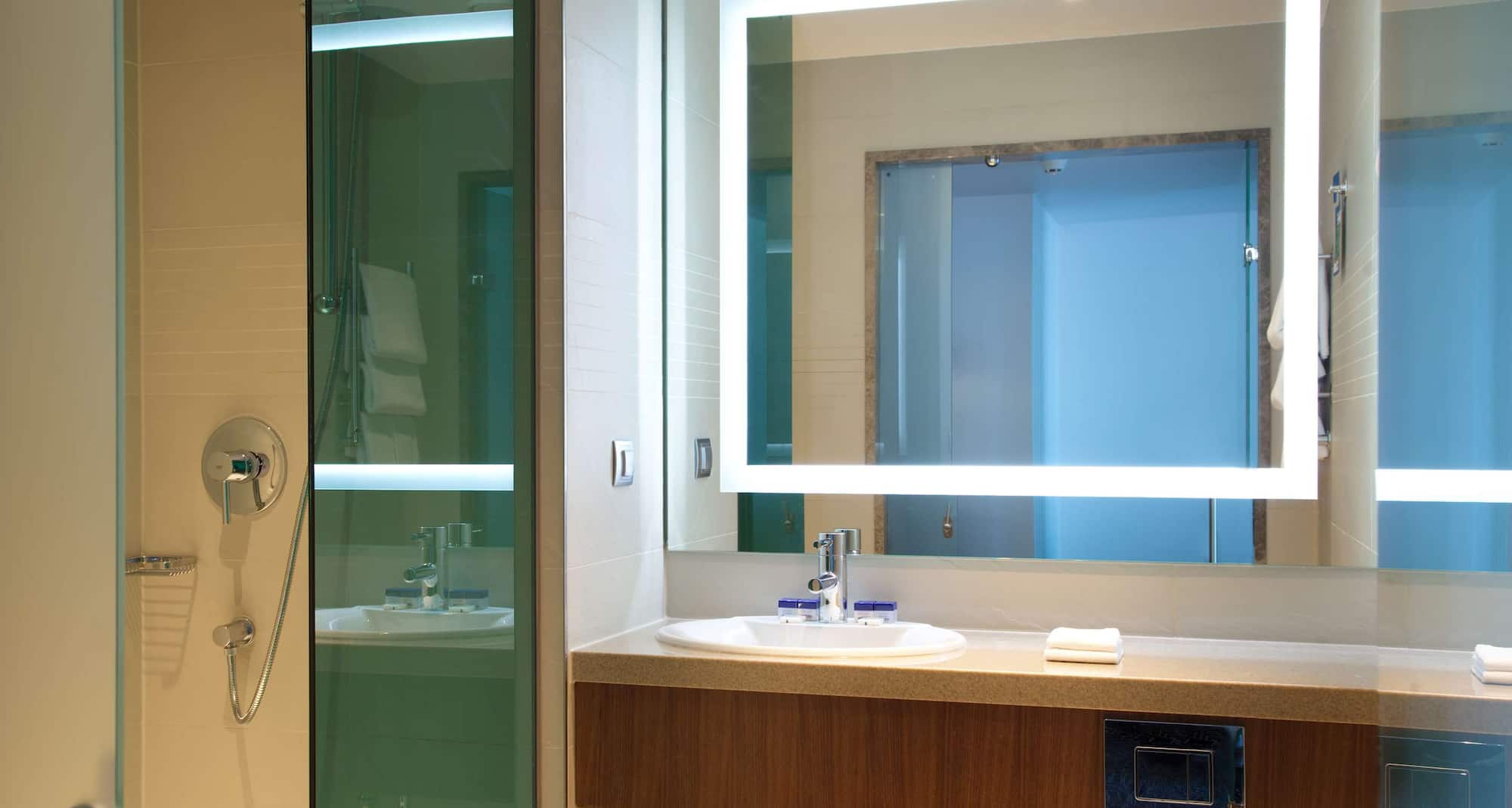 圣彼得堡普尔科沃机场丽柏酒店 - 浴室