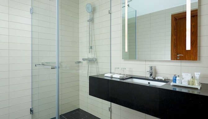 Cosmos Selection Moscow Sheremetyevo Airport Hotel, a member of Radisson Individuals - Bathroom New York style