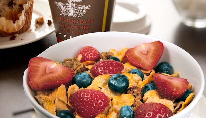 Bol frío de cereales con frutillas y arándanos