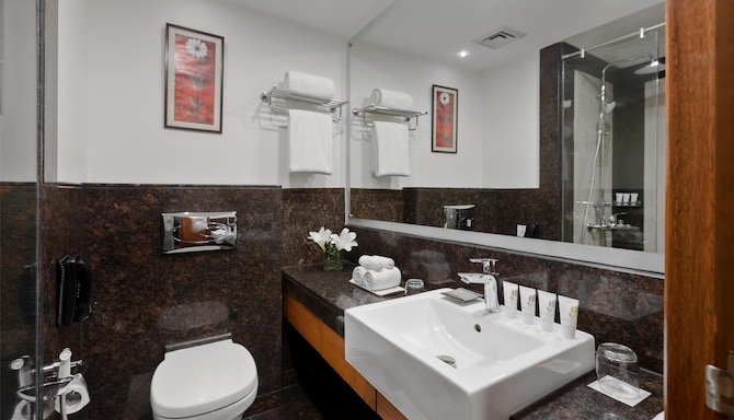 Country Inn & Suites by Radisson, Gurgaon Sector 12 - Standard Bathroom