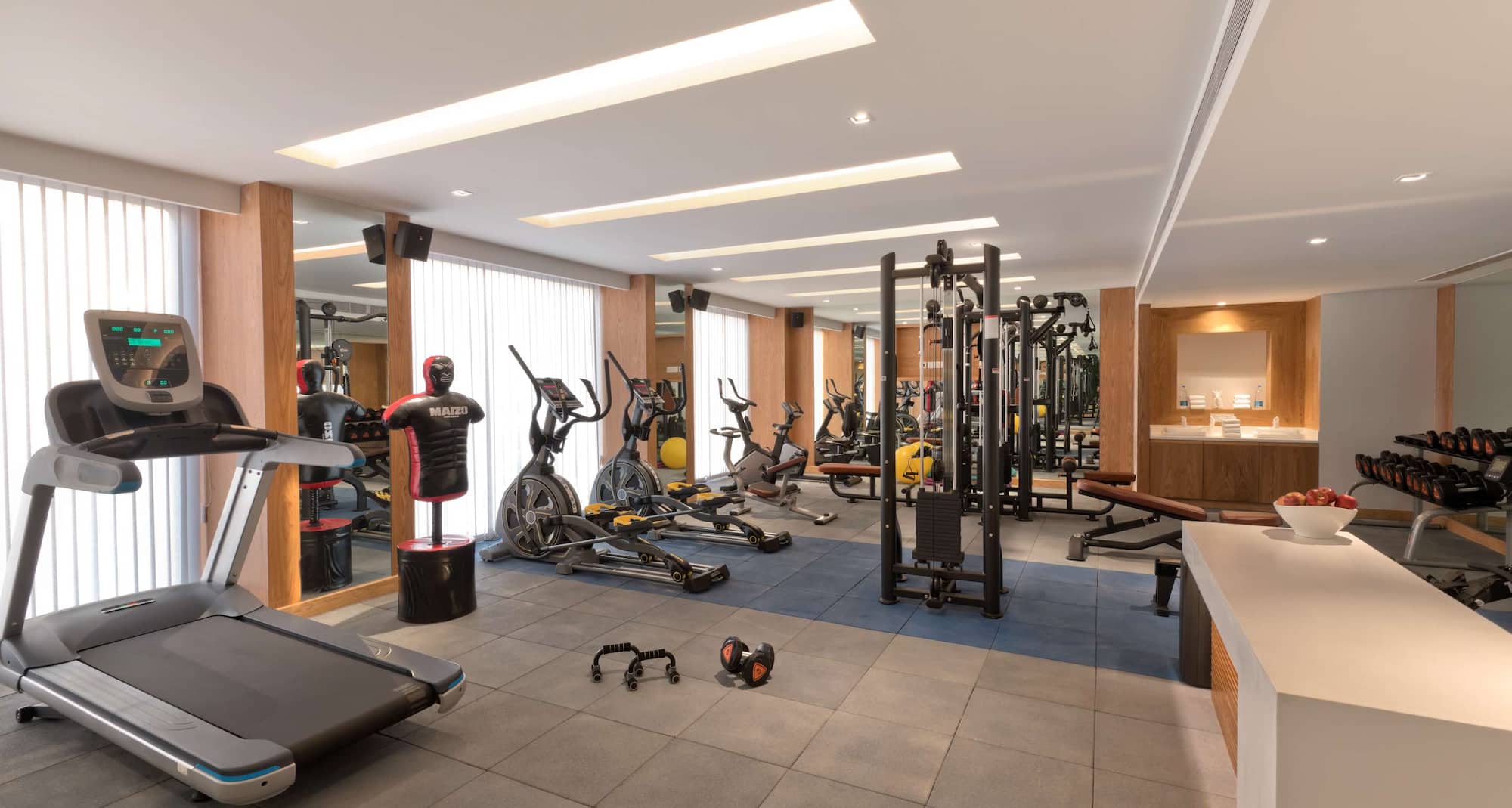 Country Inn and Suites by Radisson Zirakpur - Health Club