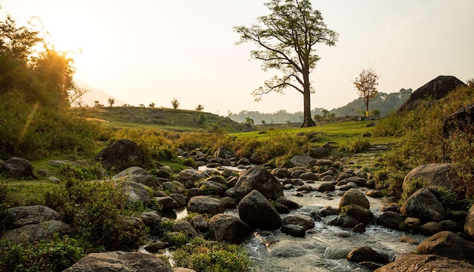 Destination Pages - Palampur, Himachal Pradesh, India