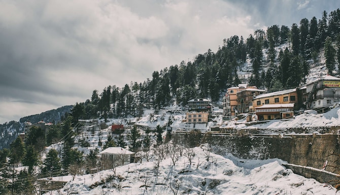 Destination Pages - Kufri, Shimla, India