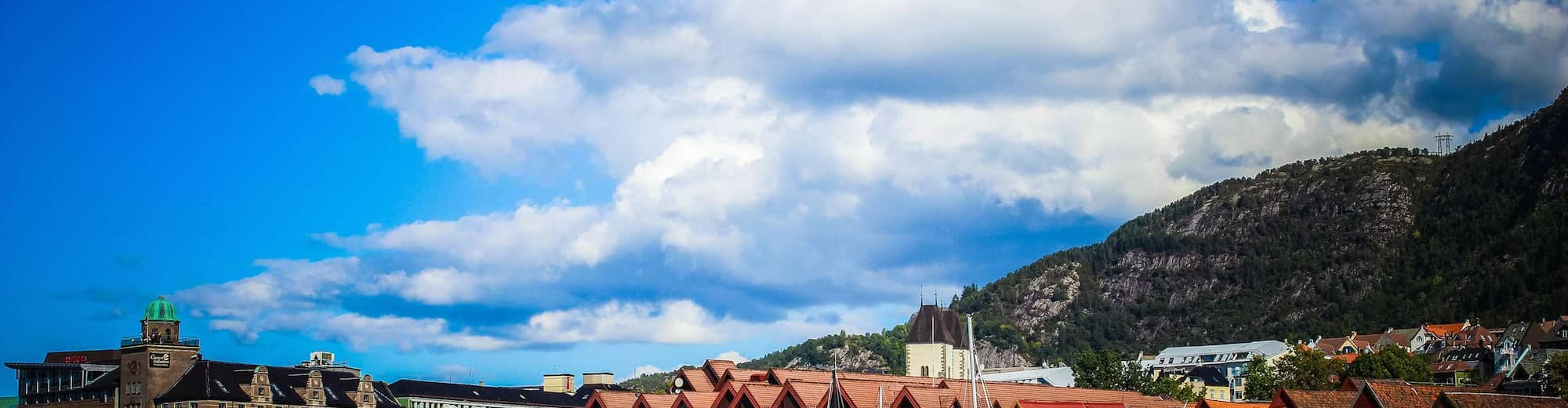 Reiseziel-Seiten - Blick auf Bergen und den Hafen