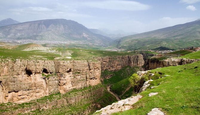 Soran
