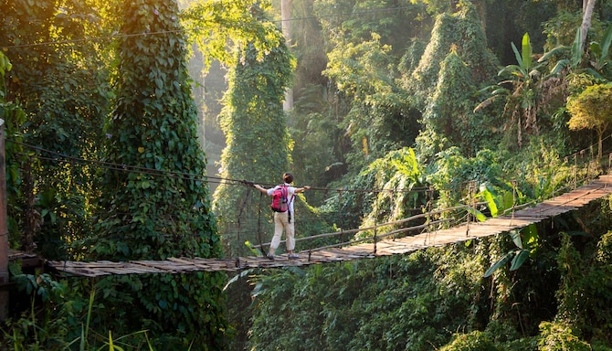 Destination pages - web & app components - Nature