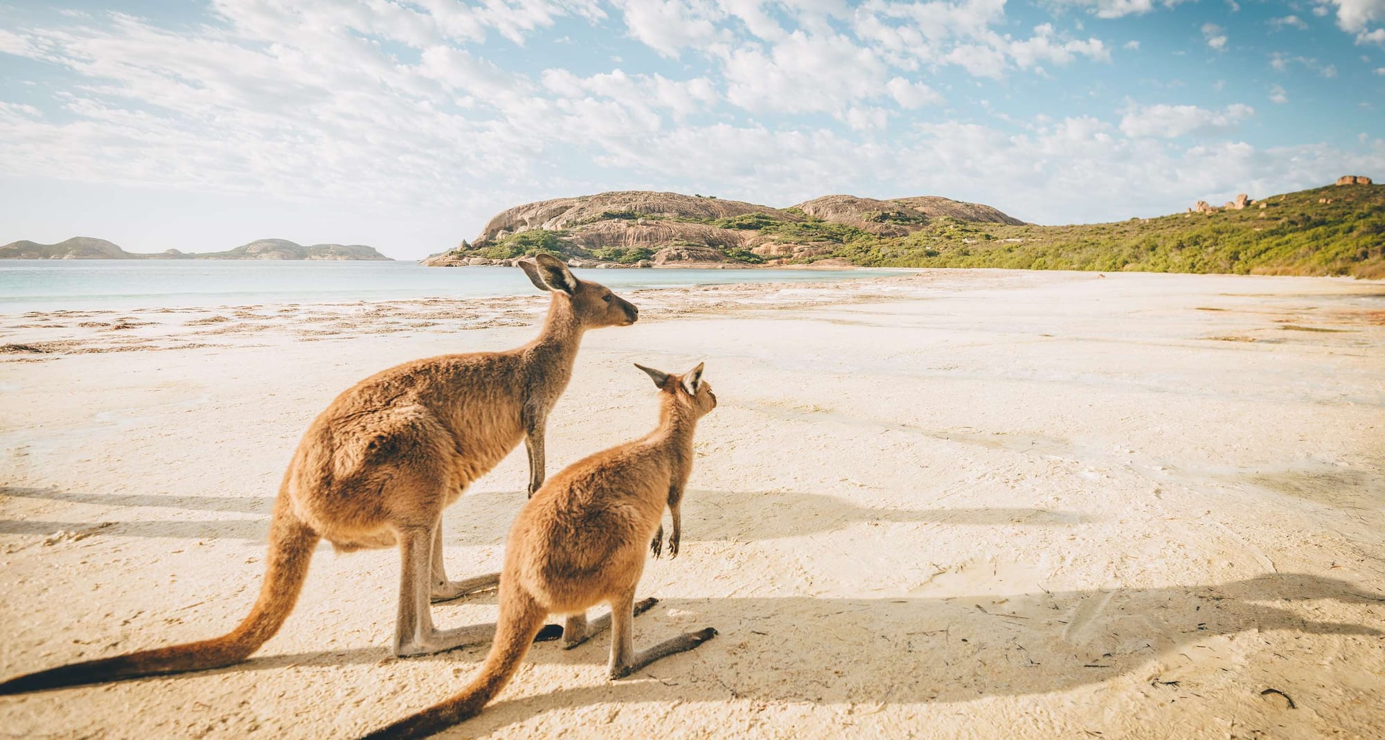 Destination Pages - APAC - Australia