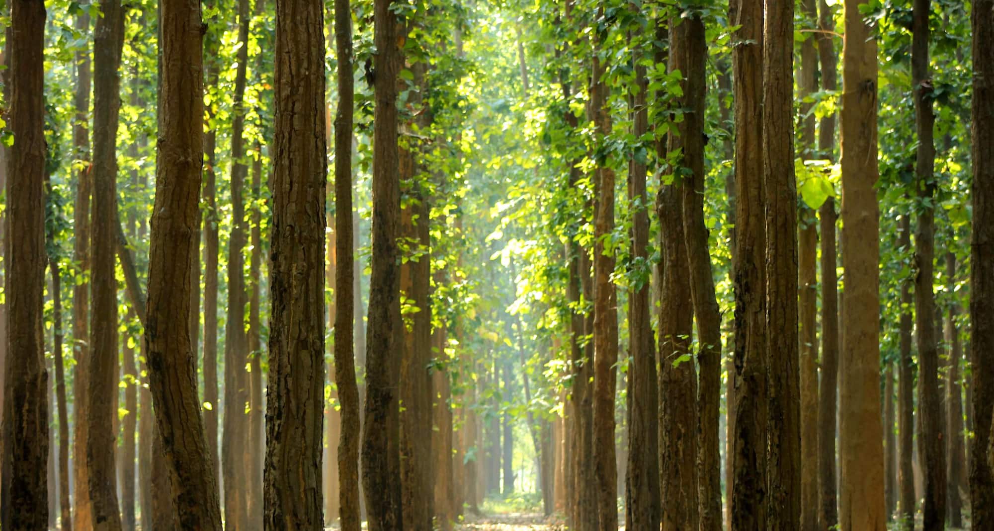 Destination Pages - APAC - Gorakhpur India