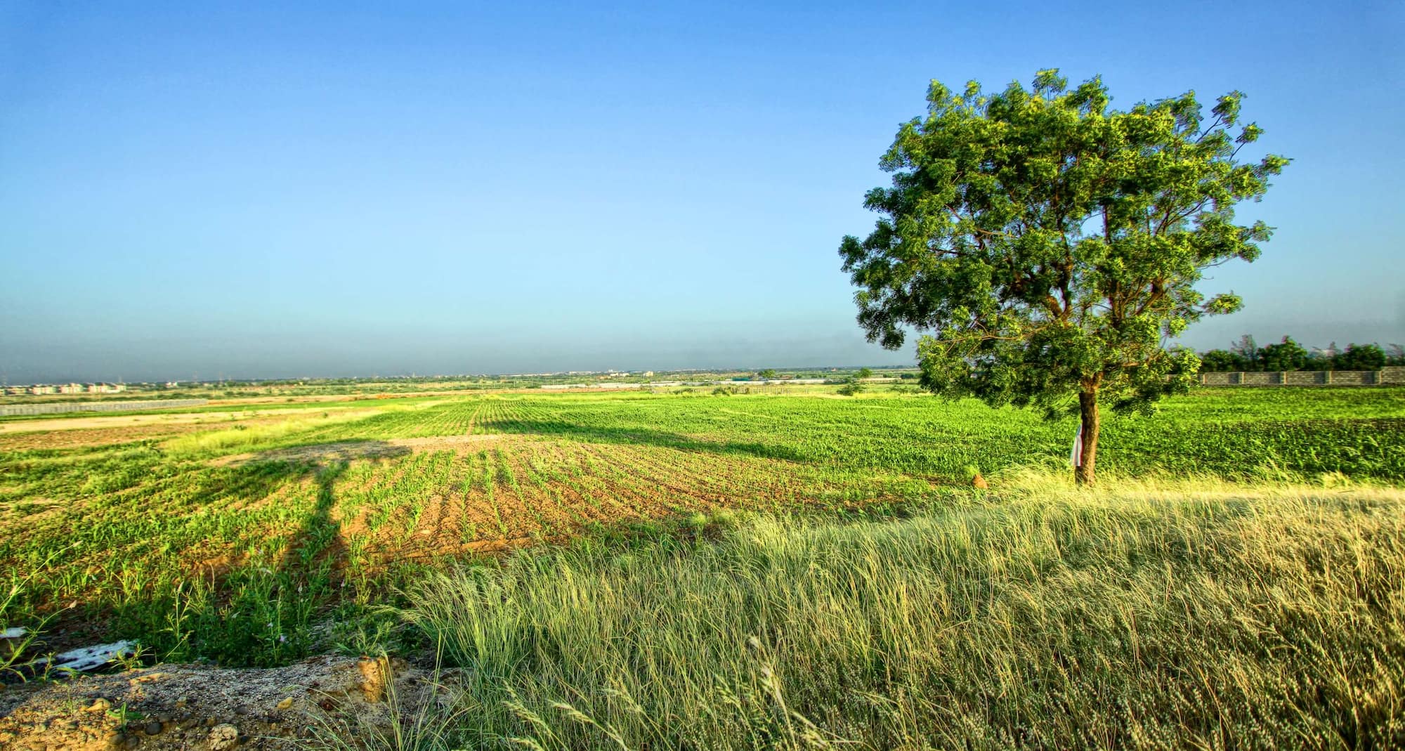 Destination Pages - APAC - Kutch India