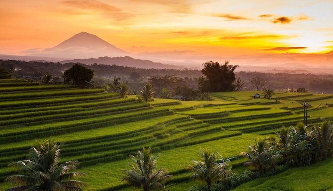 Destination Pages - APAC - Bali, Indonesia