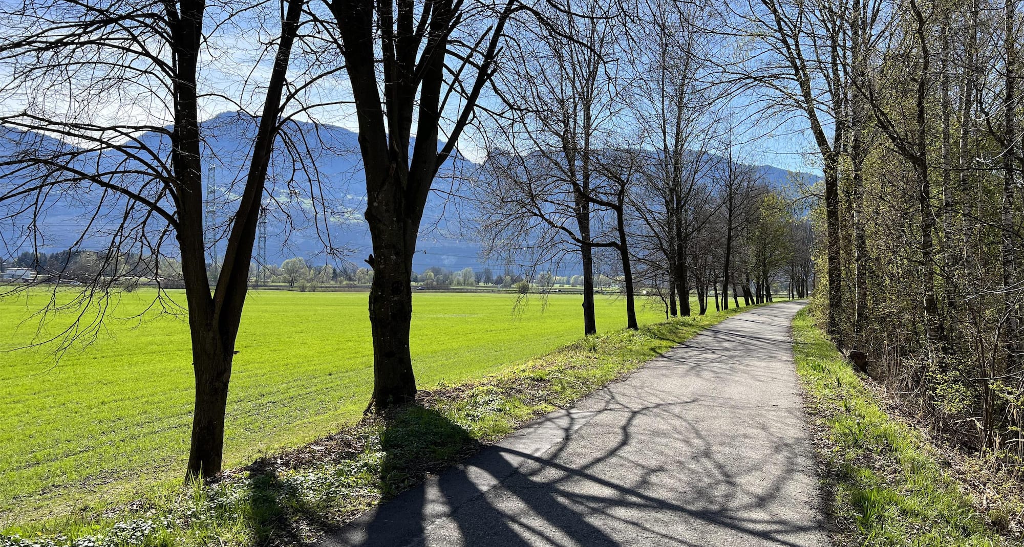 Workout route, Lustenau