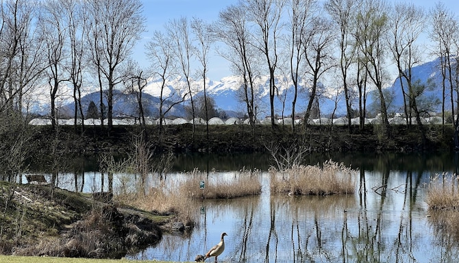Old Rhine Nature Park, Lustenau