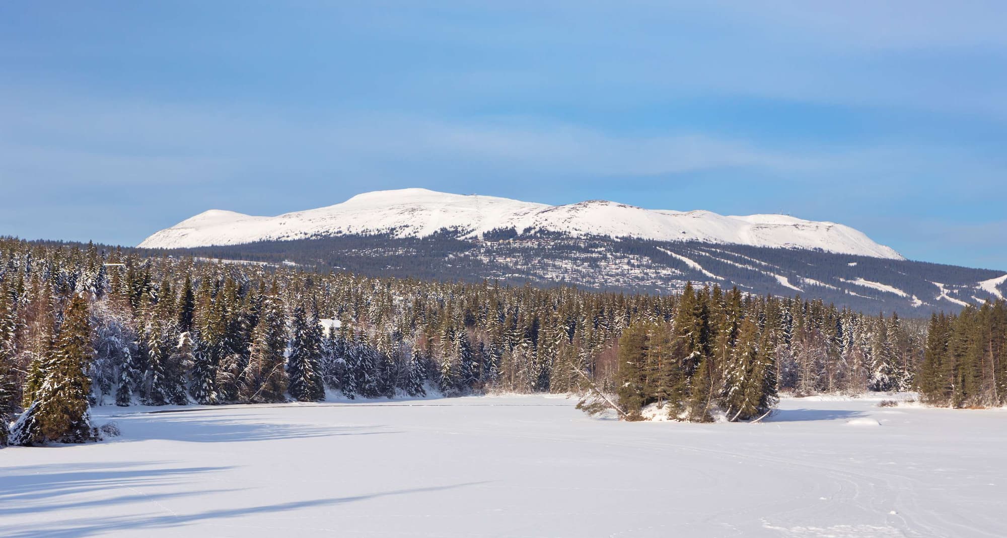 Reisemålssider – luftfoto av skog og fjell i Trysil