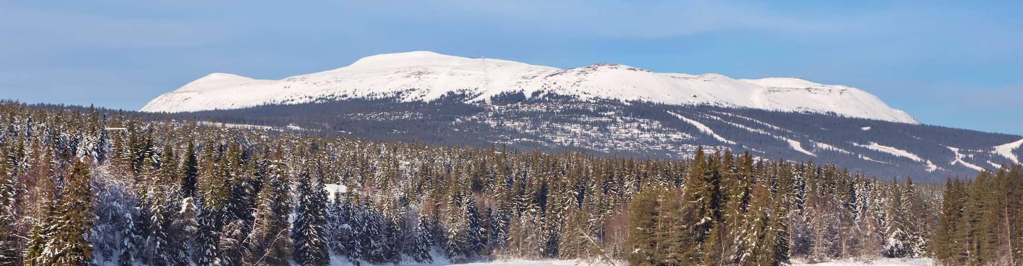 Páginas de destinos - Vista aérea da floresta e montanha em Trysil