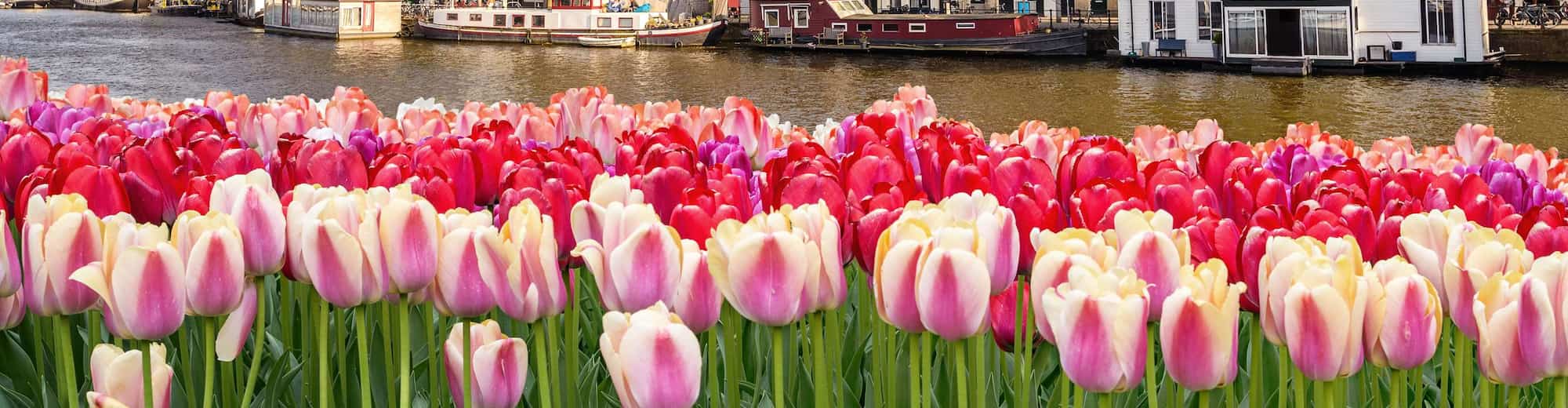 Destination Pages - Canal Houses in Amsterdam