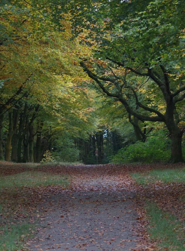 Bolton