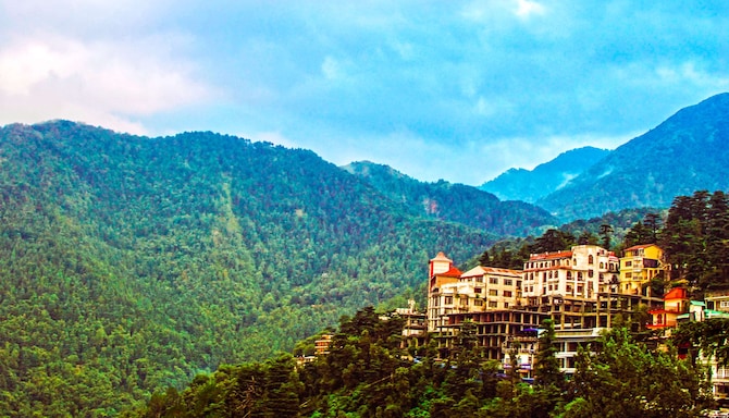 صفحات الوجهة - إطلالة على تل دارامسالا