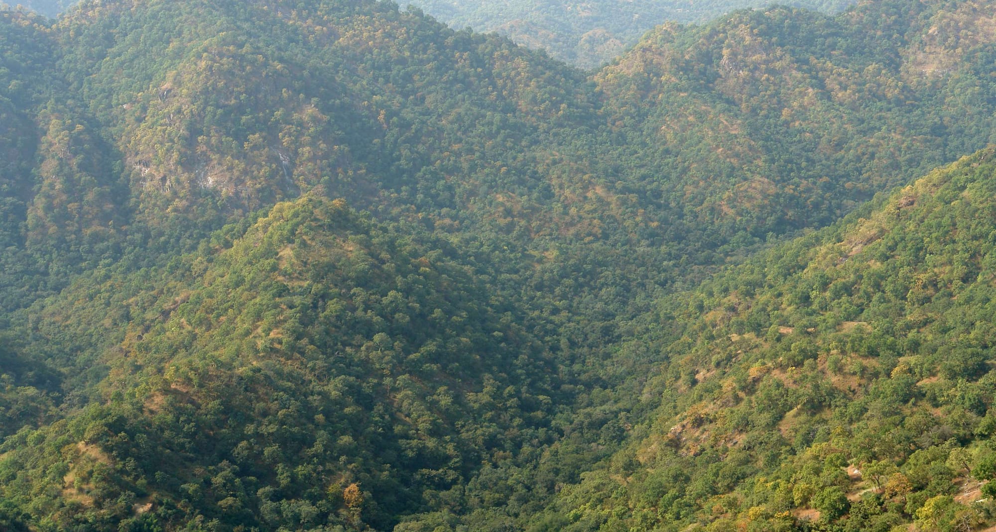 Destination Pages - Nathdwara, India
