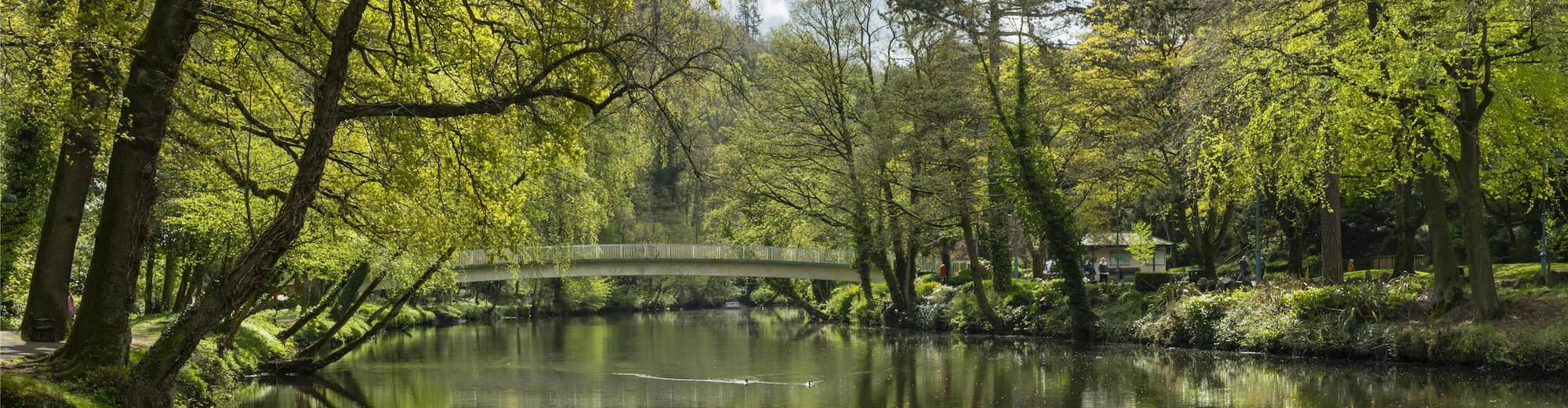 Destination Pages - Nordics and Benelux, UK and Ireland - Matlock Bath, UK