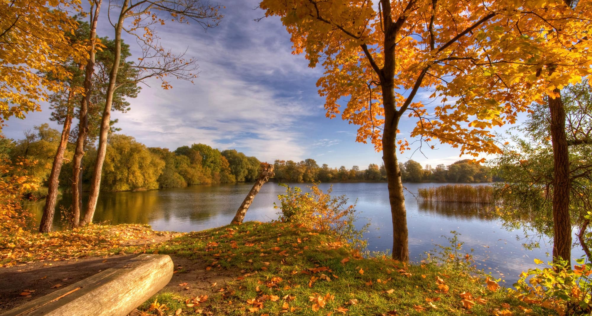 Taastrup lake view