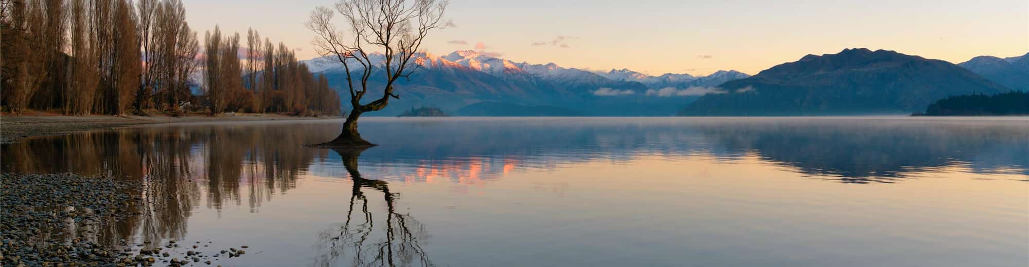 Destination Pages - SEAP - New Zealand