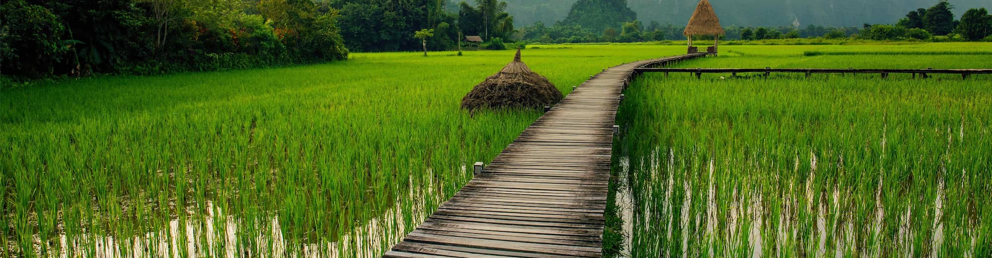 Destination Pages - SEAP - Laos