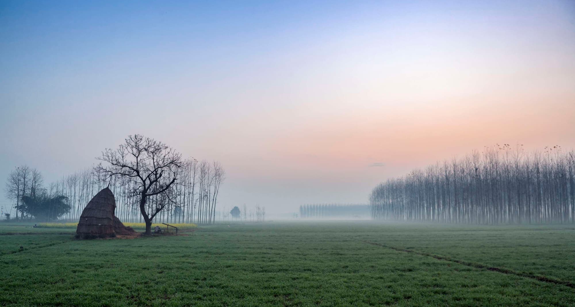 Destination Pages - South Asia - Mansowal, India