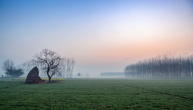 Phagwara