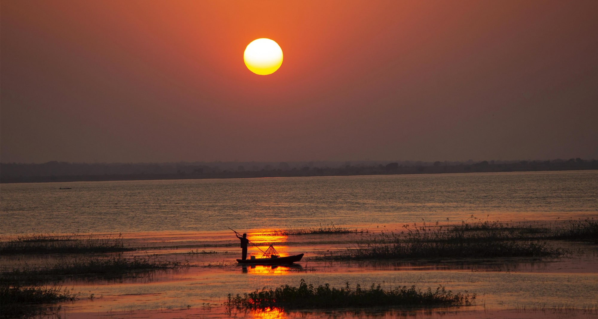 Tadoba Andhari National Park, India