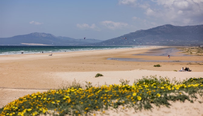 Tarifa