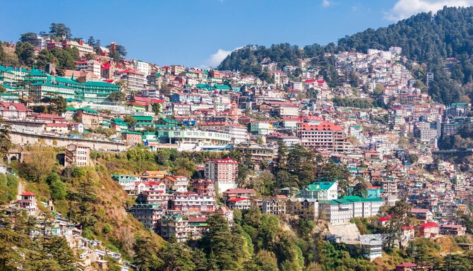 Shimla