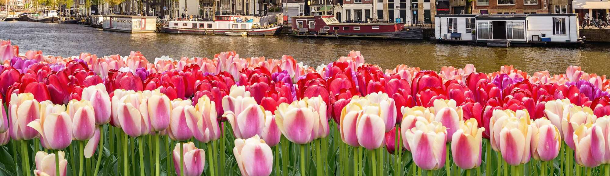 Destination Pages - Canal Houses in Amsterdam