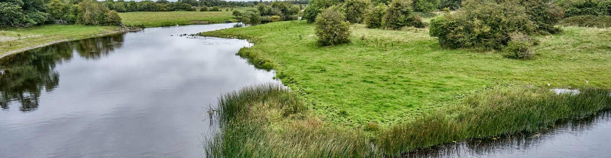 Find hotels in Shannon, Ireland Radisson Hotels