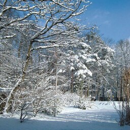 Destination pictures