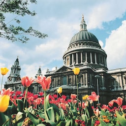 Destination pictures