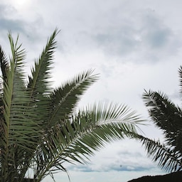 Destination pictures