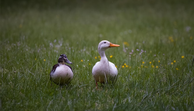 Blog images - 2025 VOL 2 - Attractions in B rgerpark