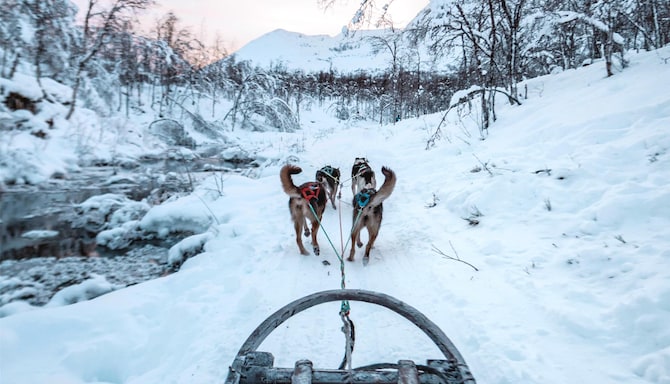 Blog images - 2025 VOL 2 - Arctic Circle Hiking Adventures Await You