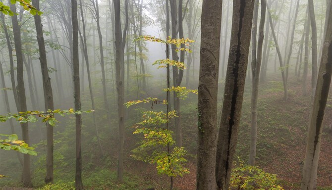 Blog images - 2025 VOL 2 - Hiking near Tallinn