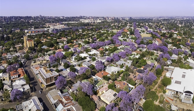 Blog images - 2025 VOL 2 - west Johannesburg s vibrant neighborhoods