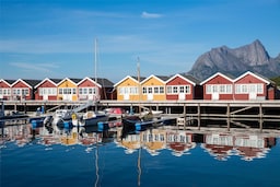 Blog images - 2025 VOL 2 - Things to Do in Bodo Discover Hidden Gems