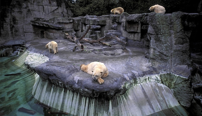 Blog images - 2025 VOL 2 - BASEL ZOO SWITZERLAND