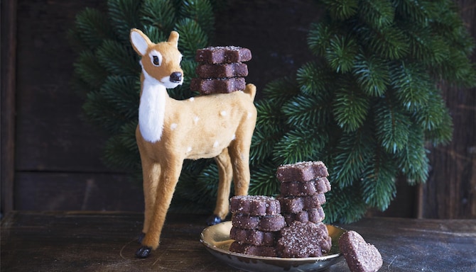 Blog images - 2025 VOL 2 - Basler Brunsli Swiss chocolate and almond spice cookies